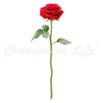 Champagne Life - Single Red Rose